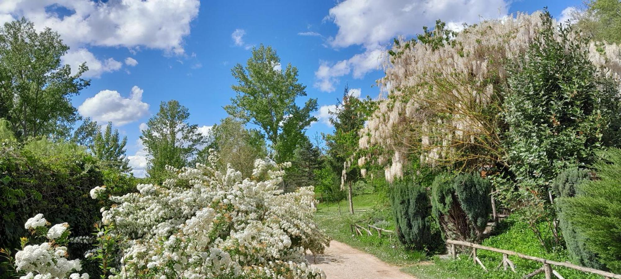 Rio Verde Camping Villaggio Costacciaro Exterior photo